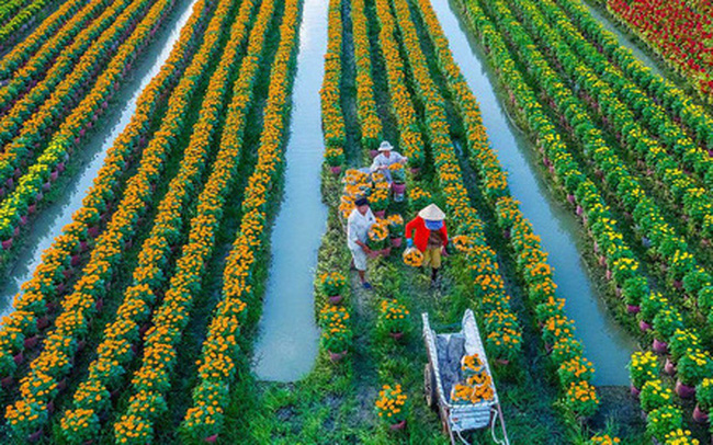 Thu nhập tăng 3 lần, vùng nông thôn của Việt Nam sẽ thành "nơi đáng sống"