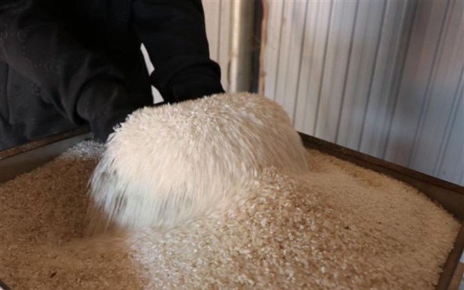 EU công bố thuế nhập khẩu gạo xát là 65 EUR/tấn