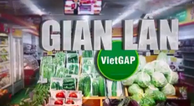 Rau VietGAP “rởm” tuồn vào siêu thị, đền bù thế nào cho người mua hàng?
