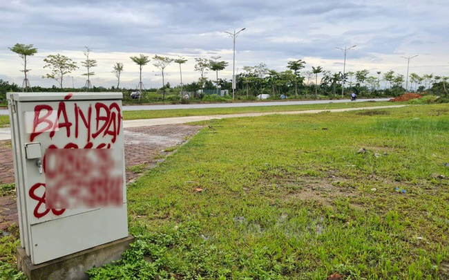 Hơn 100 lô đất tại ven Hà Nội chuẩn bị được đấu giá