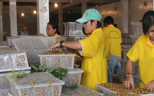 Tin vui bất ngờ với nhiều mặt hàng nông sản Việt
